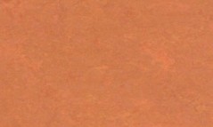 008012034 ORANGE